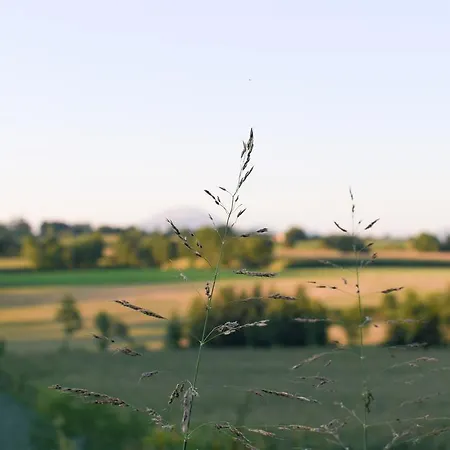 Couette-café La Piana